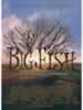 Big Fish - Le storie di una vita incredibile