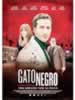 Gato Negro