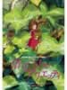 The Borrower Arrietty