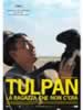 Tulpan