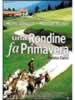 Una rondine fa primavera