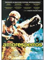 Amores Perros