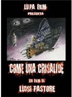 Come Una Crisalide