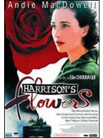 Harrison's Flowers
