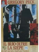 Il Buio Oltre La Siepe