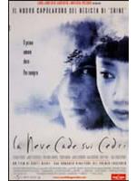 La Neve Cade Sui Cedri