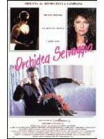 Orchidea Selvaggia