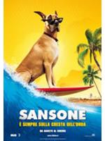 Sansone