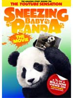 Sneeazing Baby Panda
