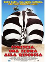 Striscia, Una Zebra Alla Riscossa