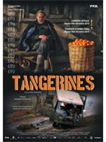 Tangerines - Mandarini
