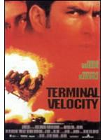 Terminal Velocity
