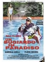 Un Bugiardo In Paradiso