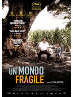 Un Mondo Fragile
