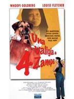 Una Valigia A 4 Zampe